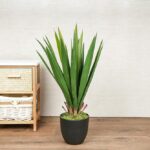 نبات صناعي - Yucca