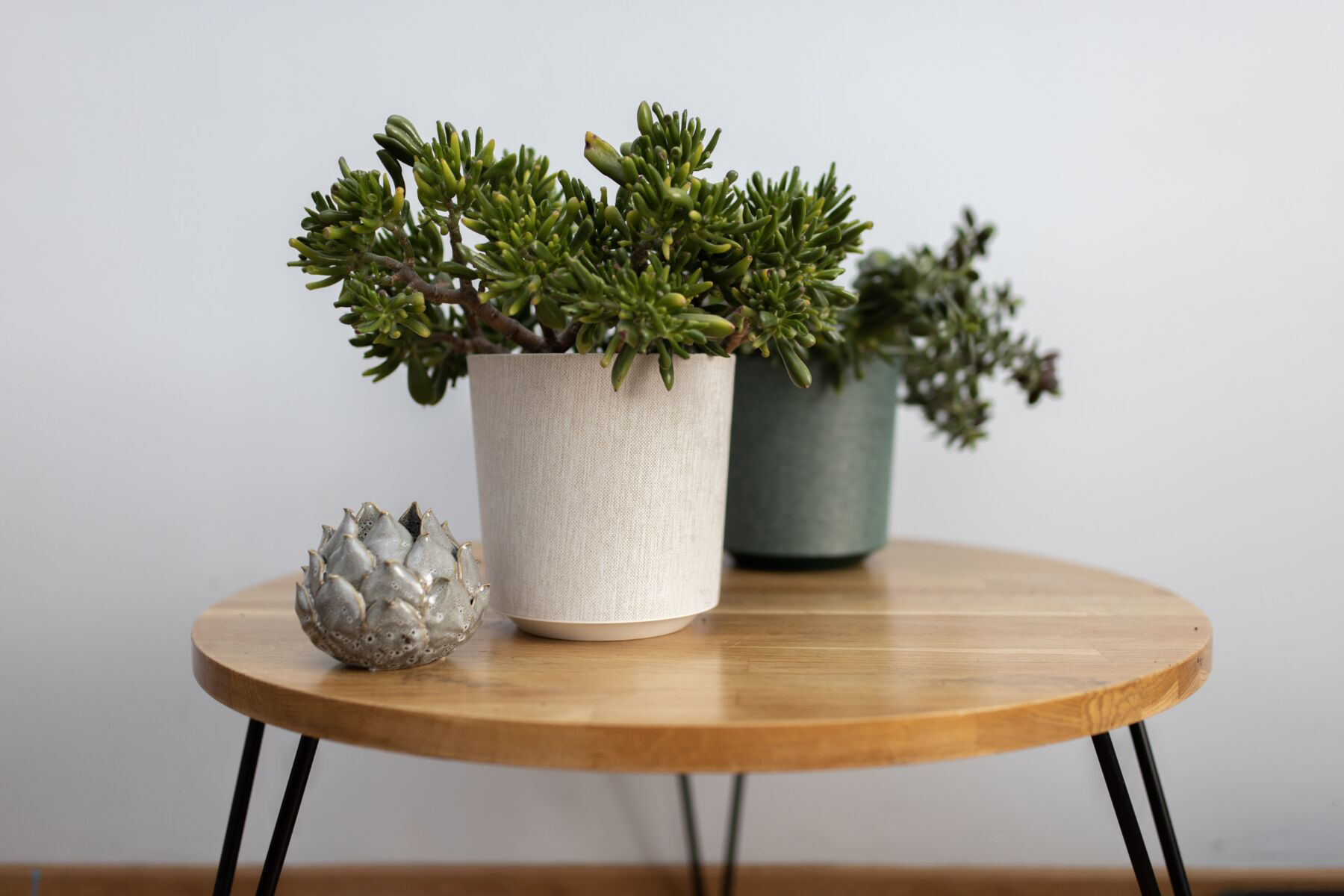 قوارير زراعة - Donica GAMA Textil