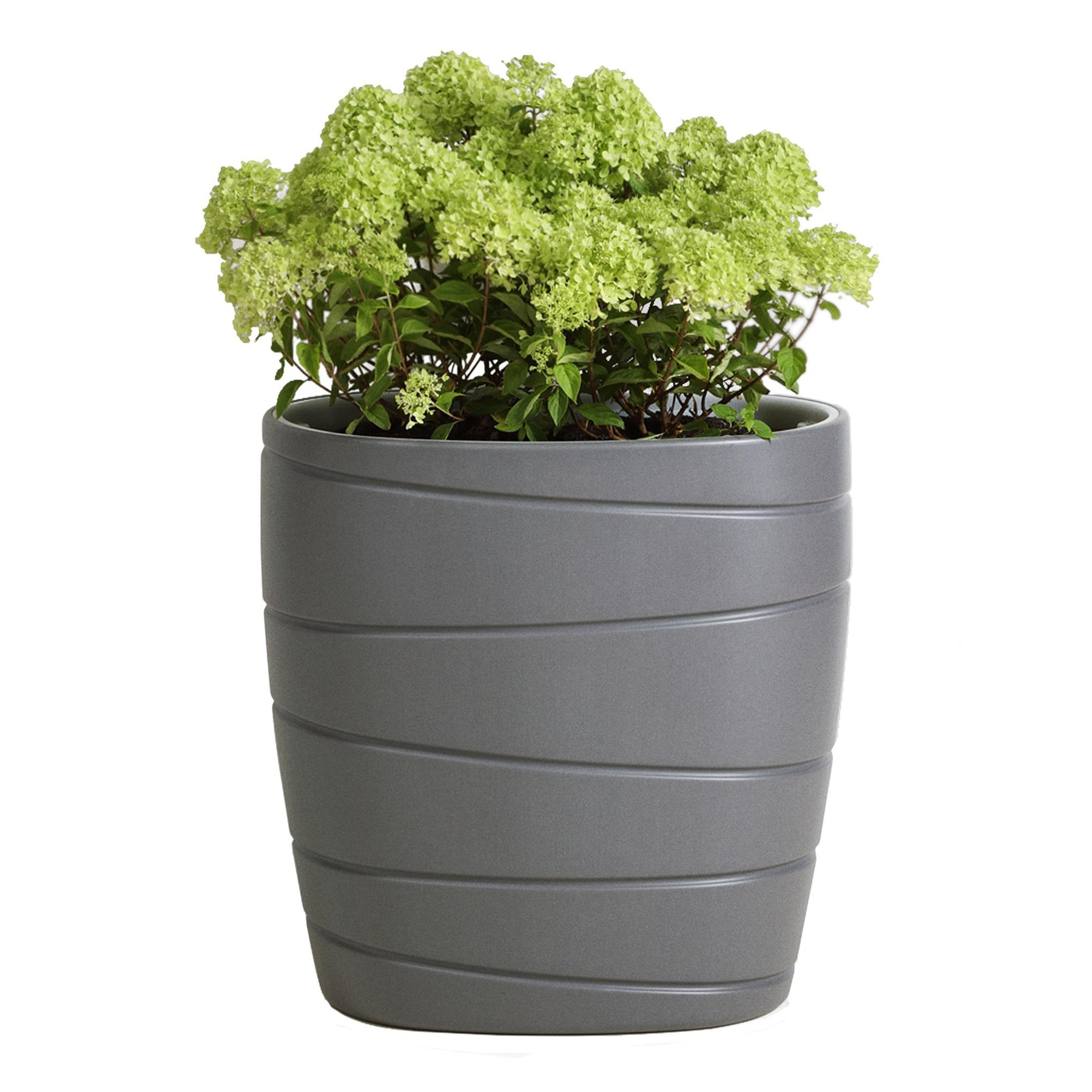 قوار زراعة - passa