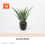 شجر صناعي - Aloe Vera