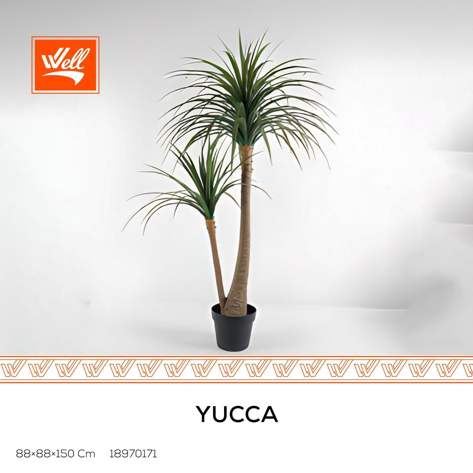 شجر صناعي - Yucca