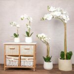 مزهرية ورد أبيض - Nopsis