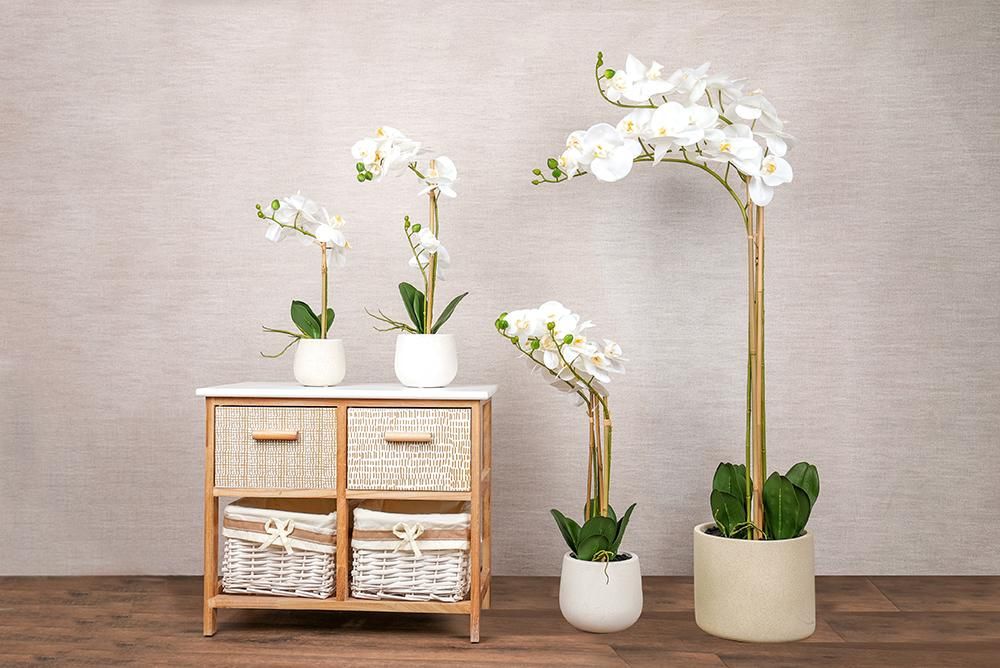 مزهرية ورد أبيض - Nopsis