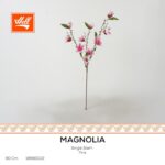 غصن ورد - Magnolia