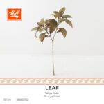 غصن ورد - Leaf