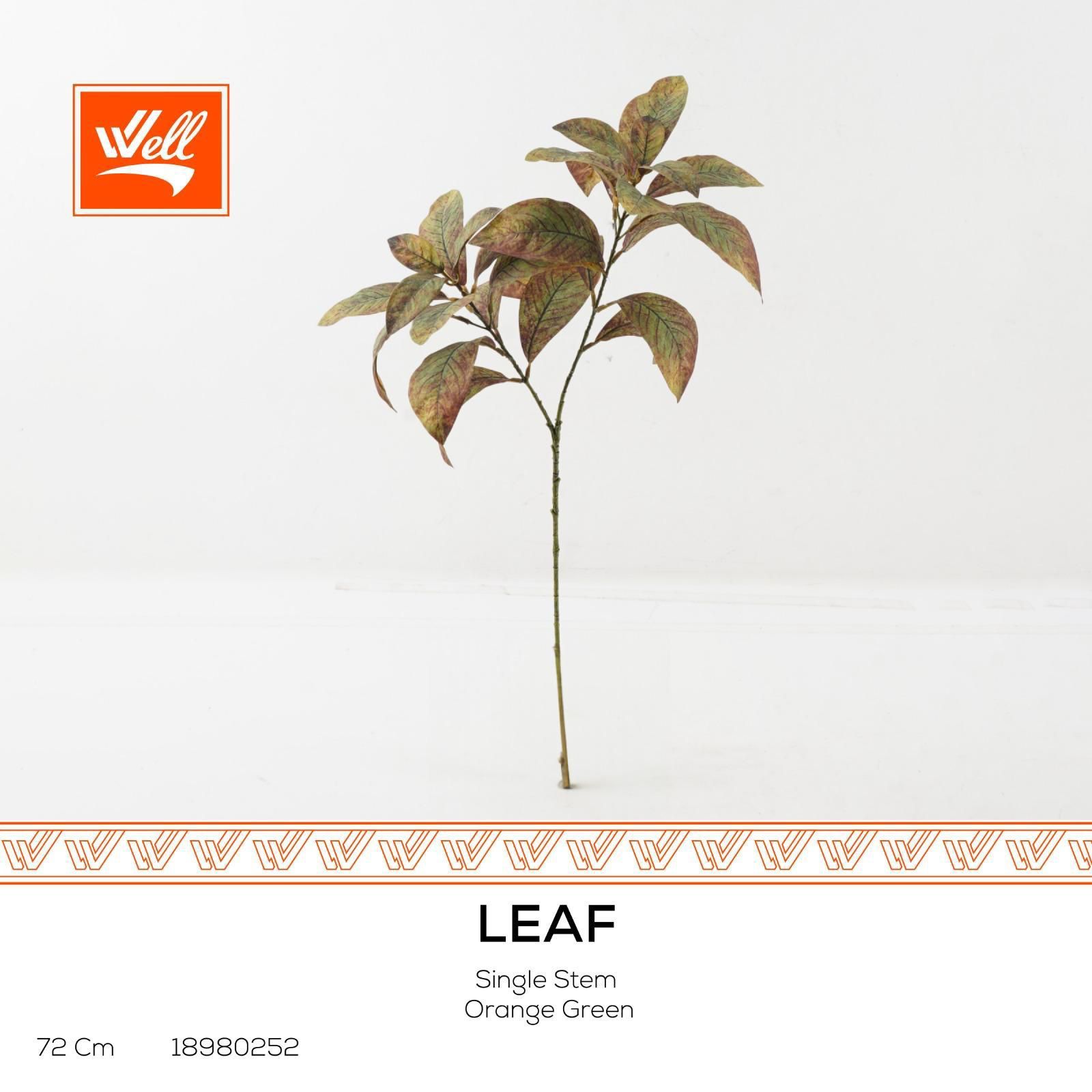 غصن ورد - Leaf