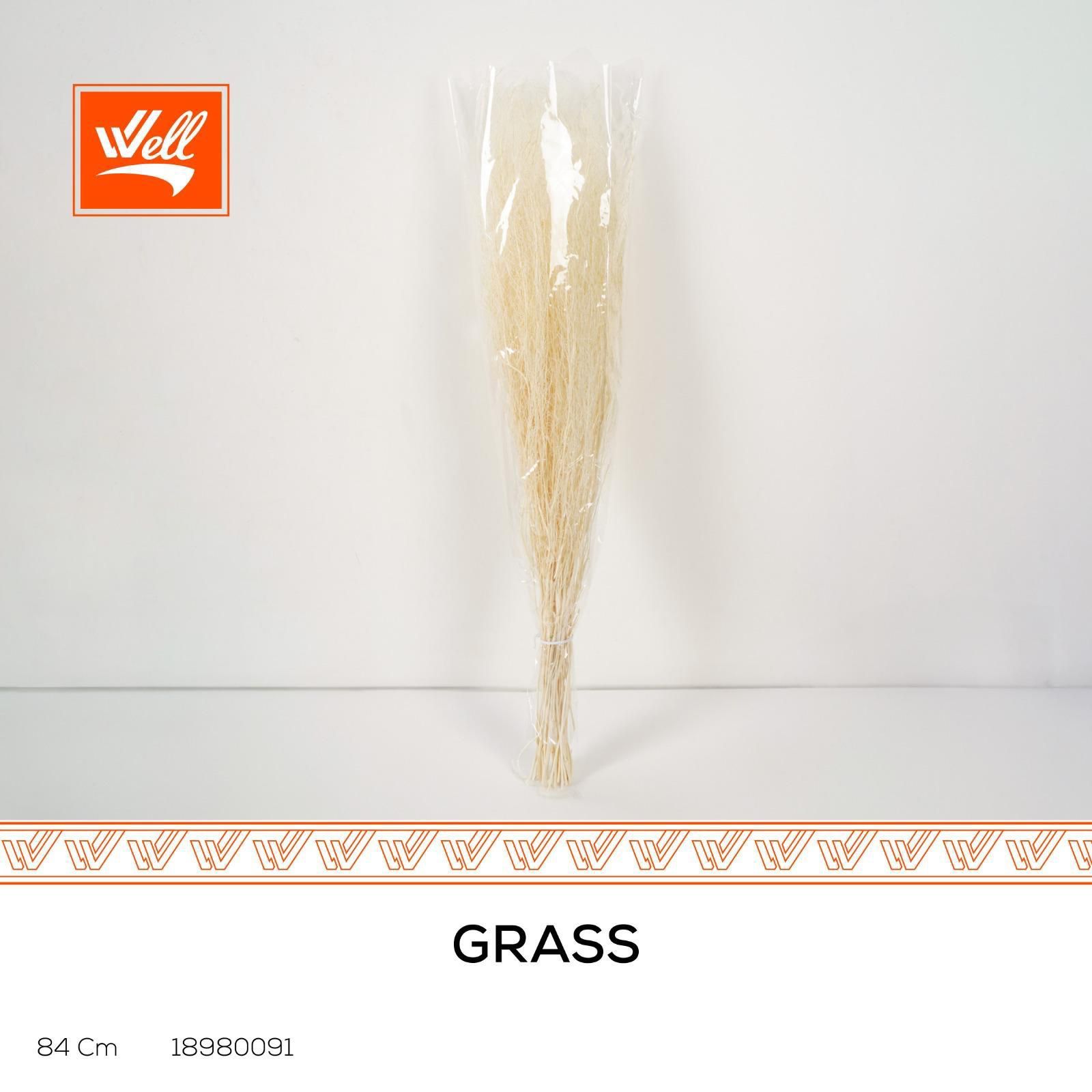 قش شجر - Grass